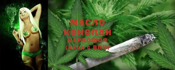 СК Богородск