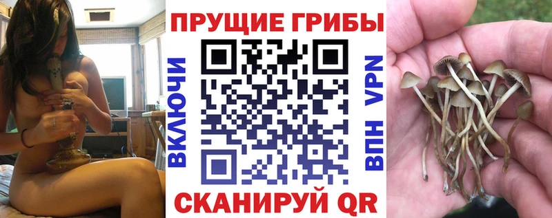 Галлюциногенные грибы GOLDEN TEACHER Подольск
