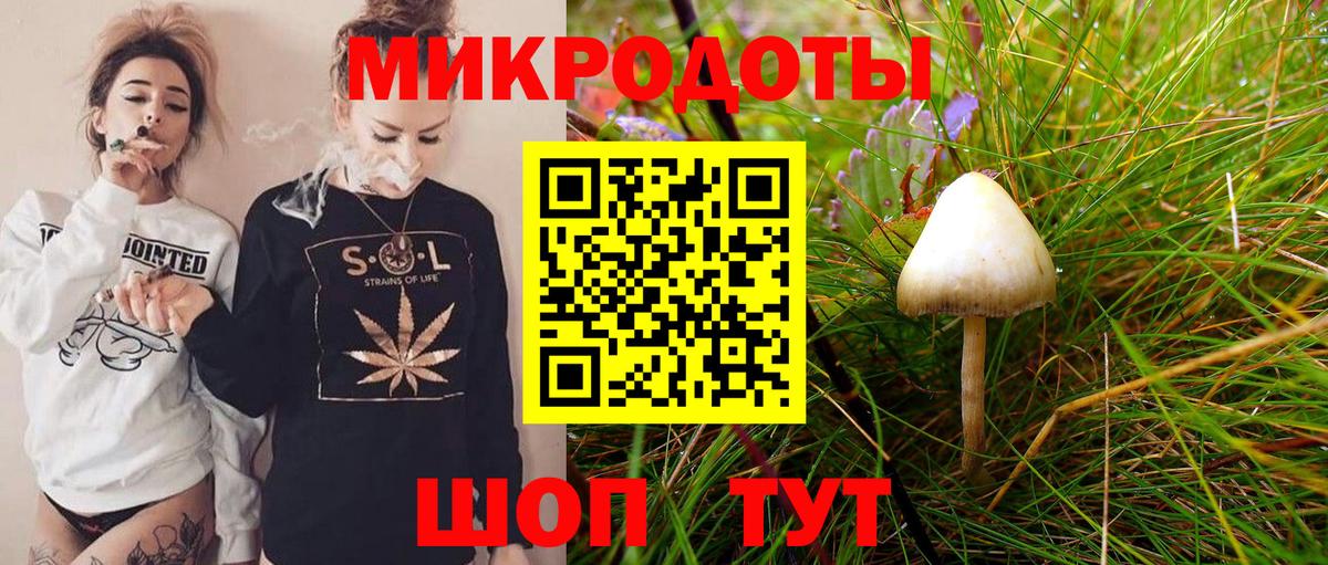 купить закладку  Галлюциногенные грибы MAGIC MUSHROOMS  Вход с VPN  Подольск 