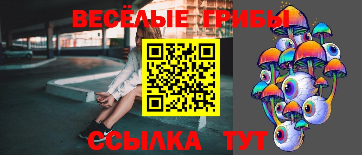Галлюциногенные грибы Magic Shrooms Подольск